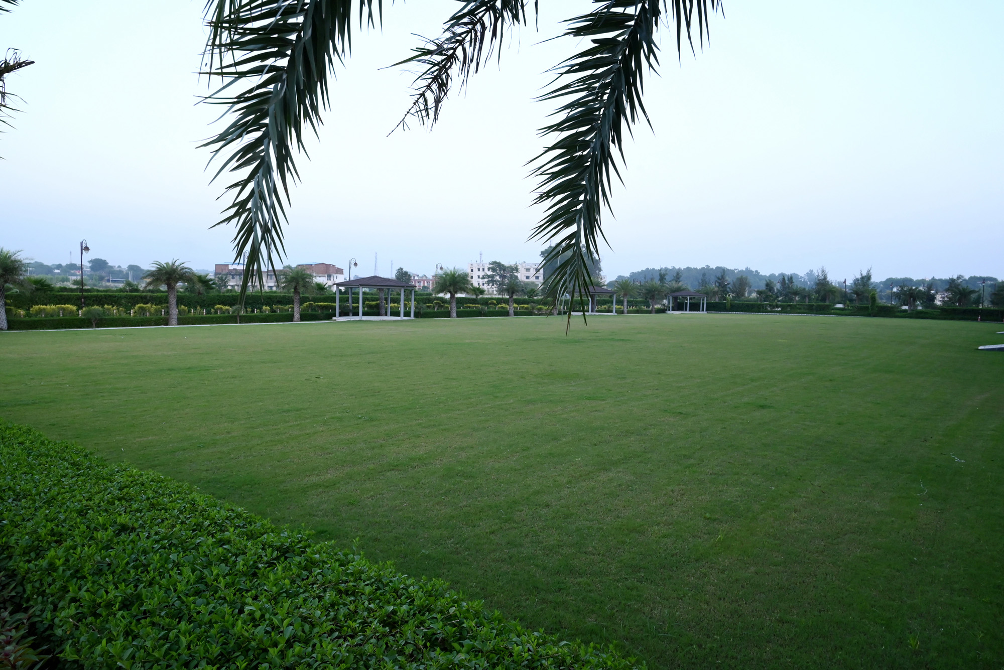 DSC_4713